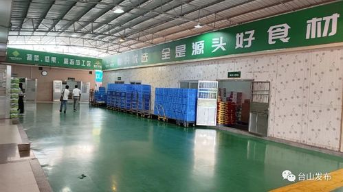 奮戰(zhàn)百千萬工程 廣東供銷農(nóng)產(chǎn)品直供配送臺山服務(wù)中心揭牌成立