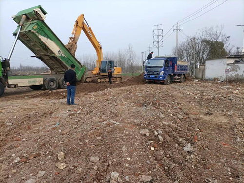 龍子湖住建局以創(chuàng)新模式開啟東部門戶綠化建設工程