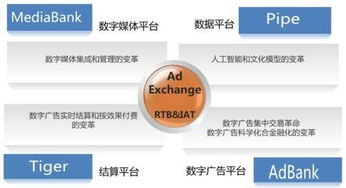 傳合網(wǎng)絡(luò)科技圖冊(cè) 計(jì)算機(jī)軟硬件全景解析